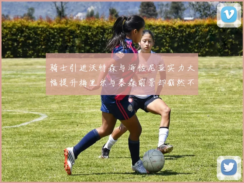 骑士引进沃特森与海佐尼亚实力大幅提升梅里尔与泰森前景却截然不同