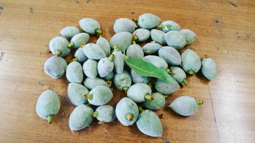 11180637_10153888319035590_3355054665890940929_n(1)