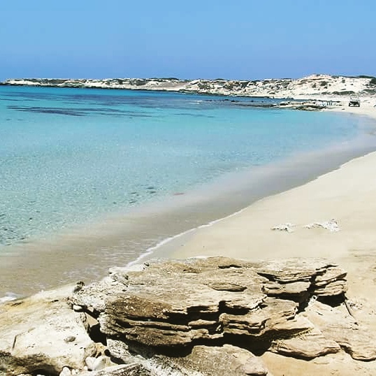 12647558_10153760884665590_9162045608296470847_n