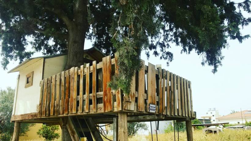 12718042_10153936414830590_3200389894815777699_n