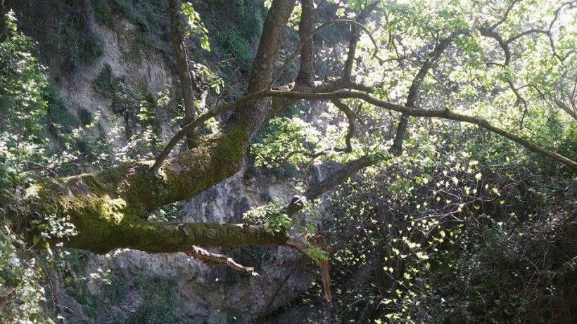 11129689_10153151247115590_3271896726979972857_n