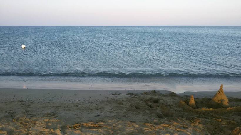 11870680_10153460114140590_8051603397883847017_n