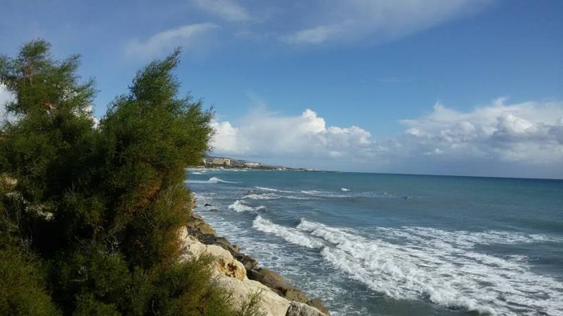 13606926_10154185745515590_8803934524191111035_n