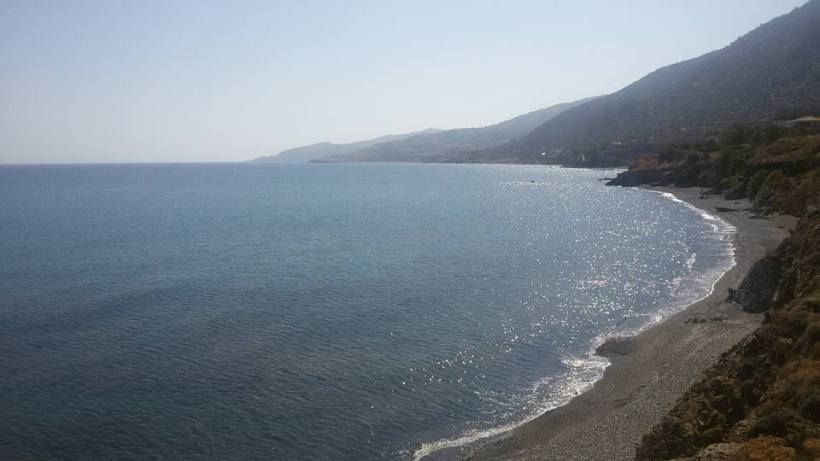 11218695_10153393431635590_1133877047513011979_n