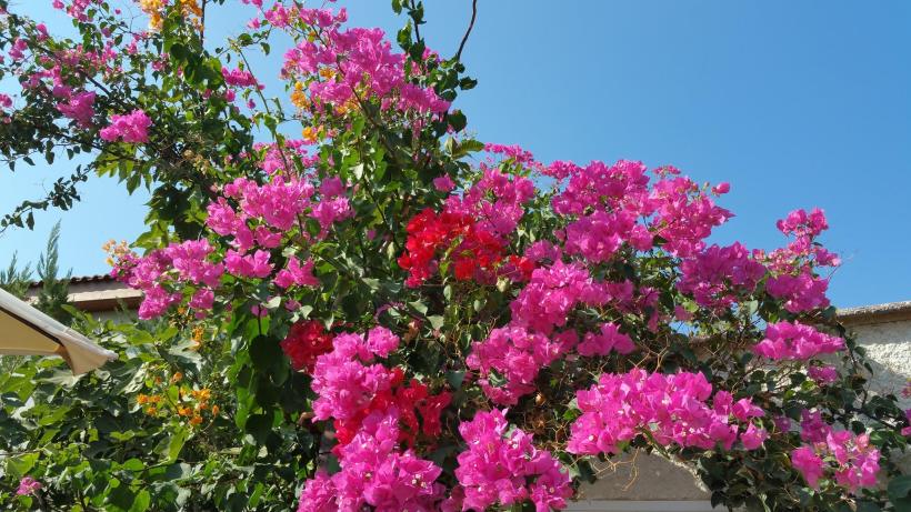 14372344_1231963250179593_4363327000024589409_o