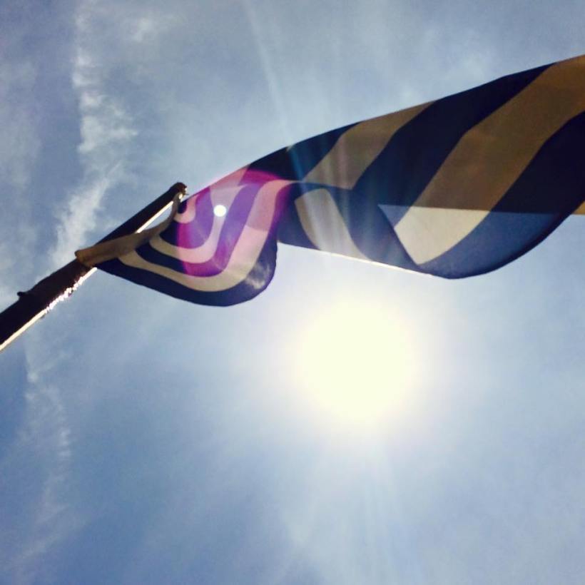 11666254_10153340333760590_9107089970322591252_n