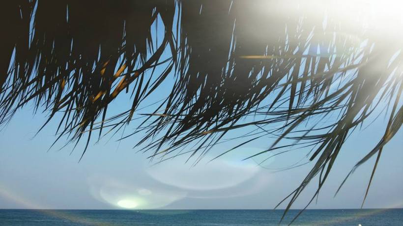 13307209_10154058424205590_337890206398704979_n