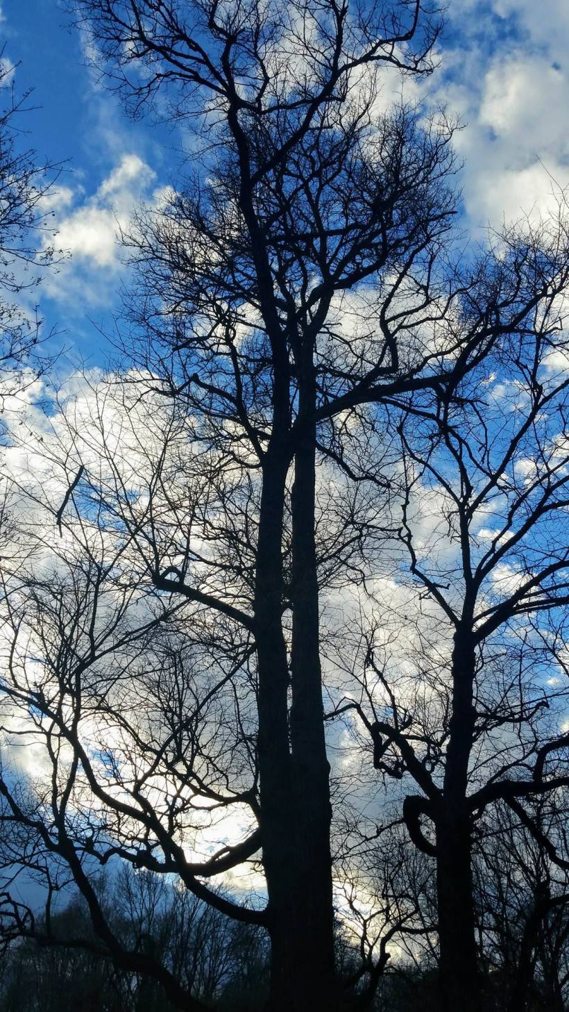 15785344_10154646549480590_509100819_o