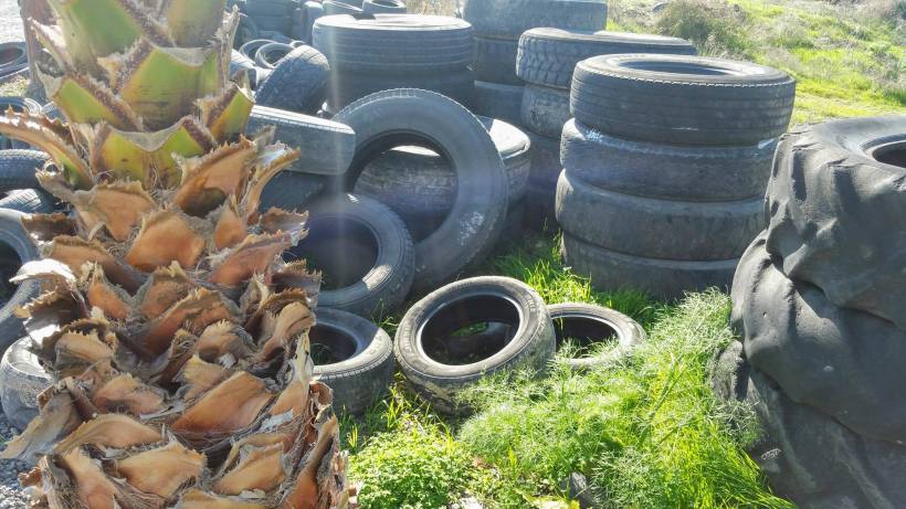 16231041_10154723194855590_111025560_o