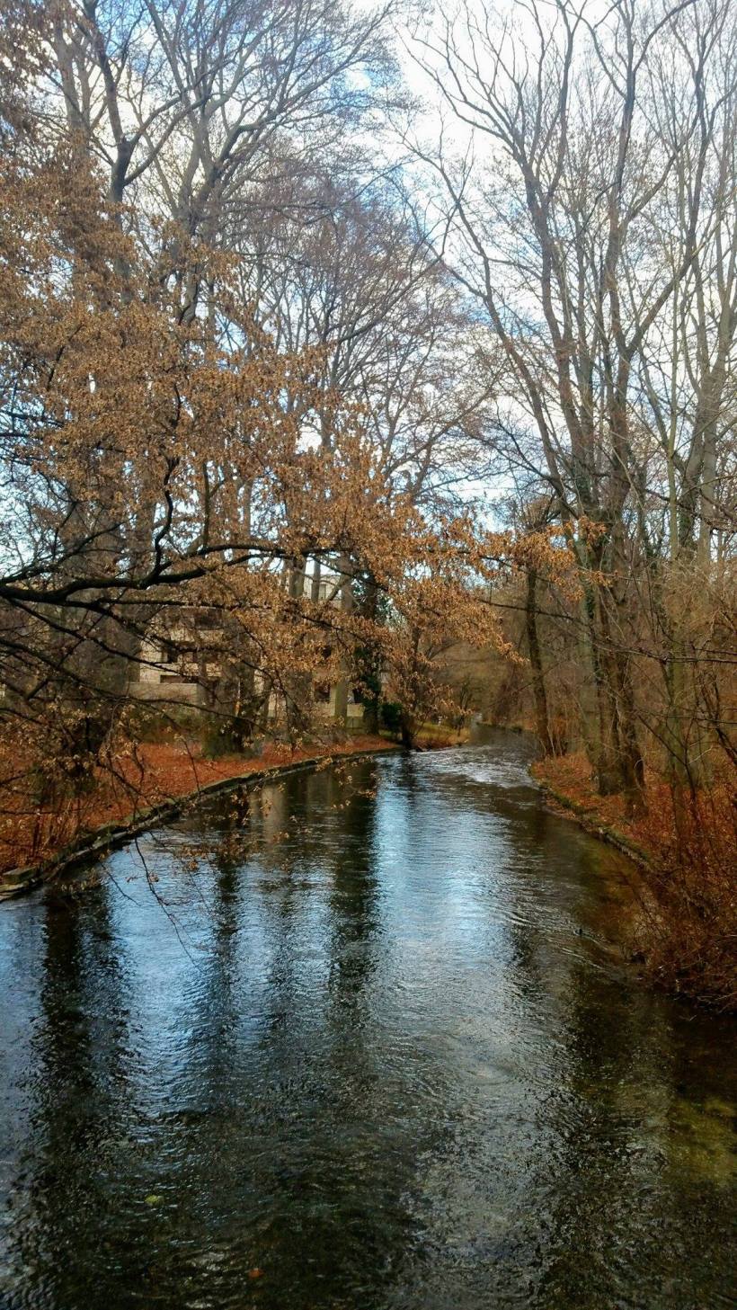 16880262_10154813850930590_361713450_o