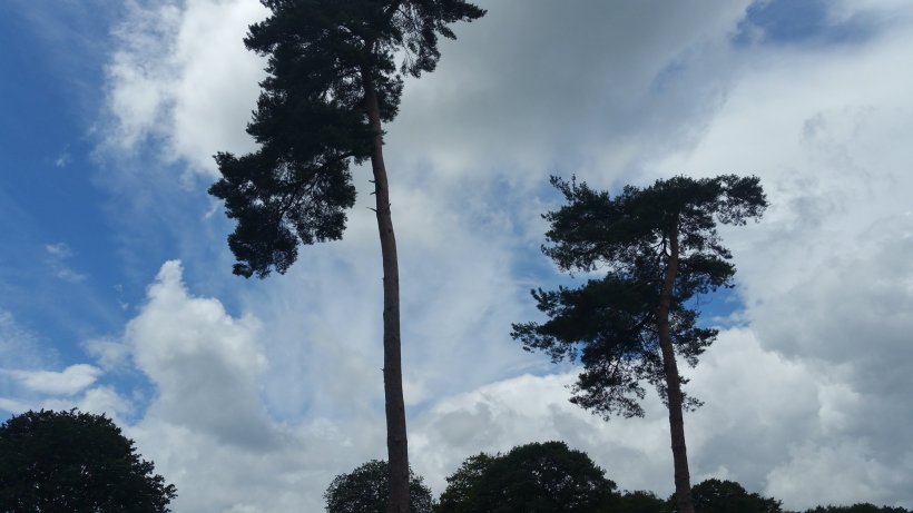 20399073_10155315746025590_832572555_o