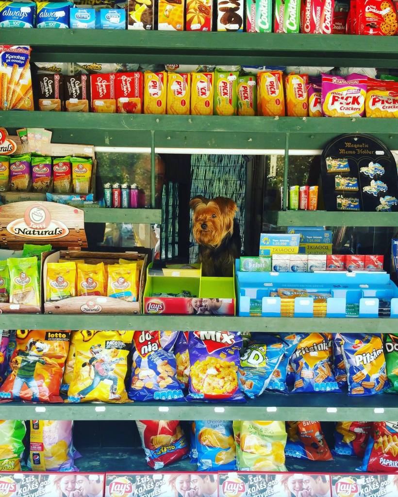 16930687_10154811330900590_526744269_o